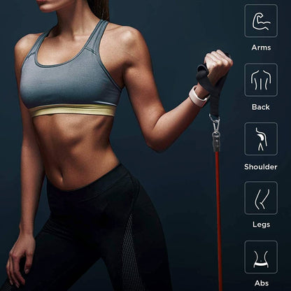 Premium Edition-Professional Toning Exercise and Workout Resistance Bands